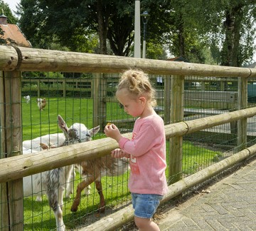 De kinderboerderij