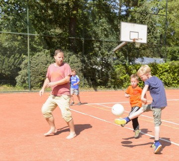 Sportveld